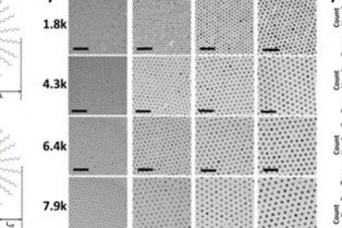 韓國科學(xué)技術(shù)院《ACS Nano》：手把手教你花樣制備納米粒子！