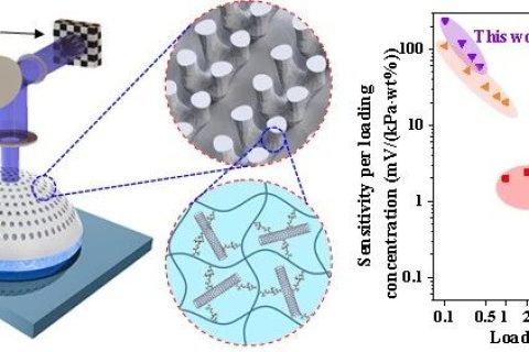 Nano Energy：基于面投影微立體光刻3D打印技術的共形壓電傳感器設計與制造