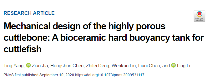 吃墨魚發(fā)了一篇頂刊《PNAS》！墨魚骨的秘密被揭開！