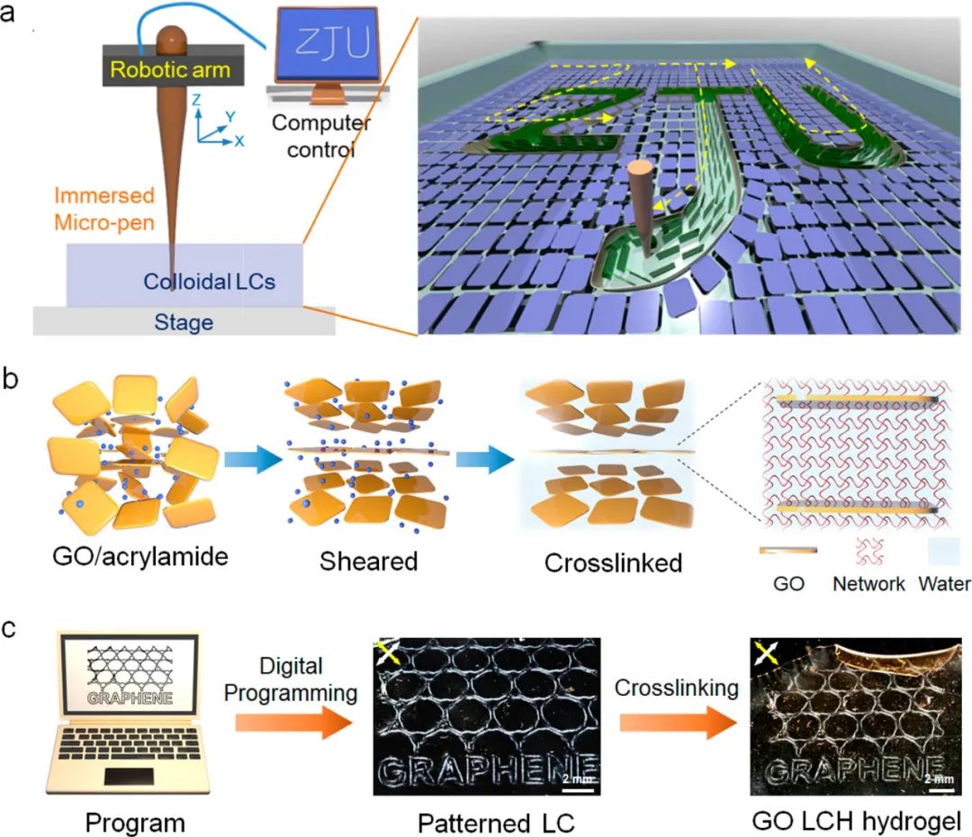 浙江大學高超、許震團隊《ACS Nano》:在剪切微印刷術(shù)研究方面再獲進展