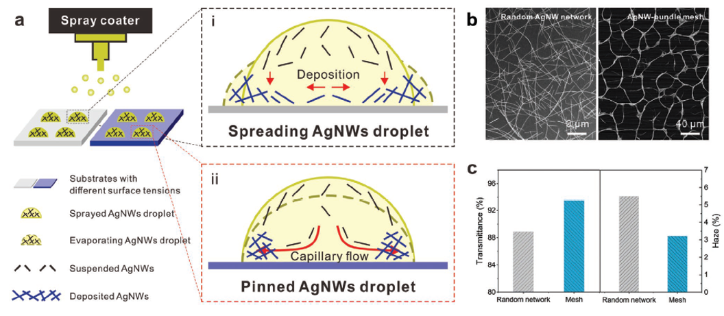 南洋理工李佩詩團(tuán)隊《AFM》：噴涂組裝策略制備高性能銀納米線透明導(dǎo)電網(wǎng)絡(luò)