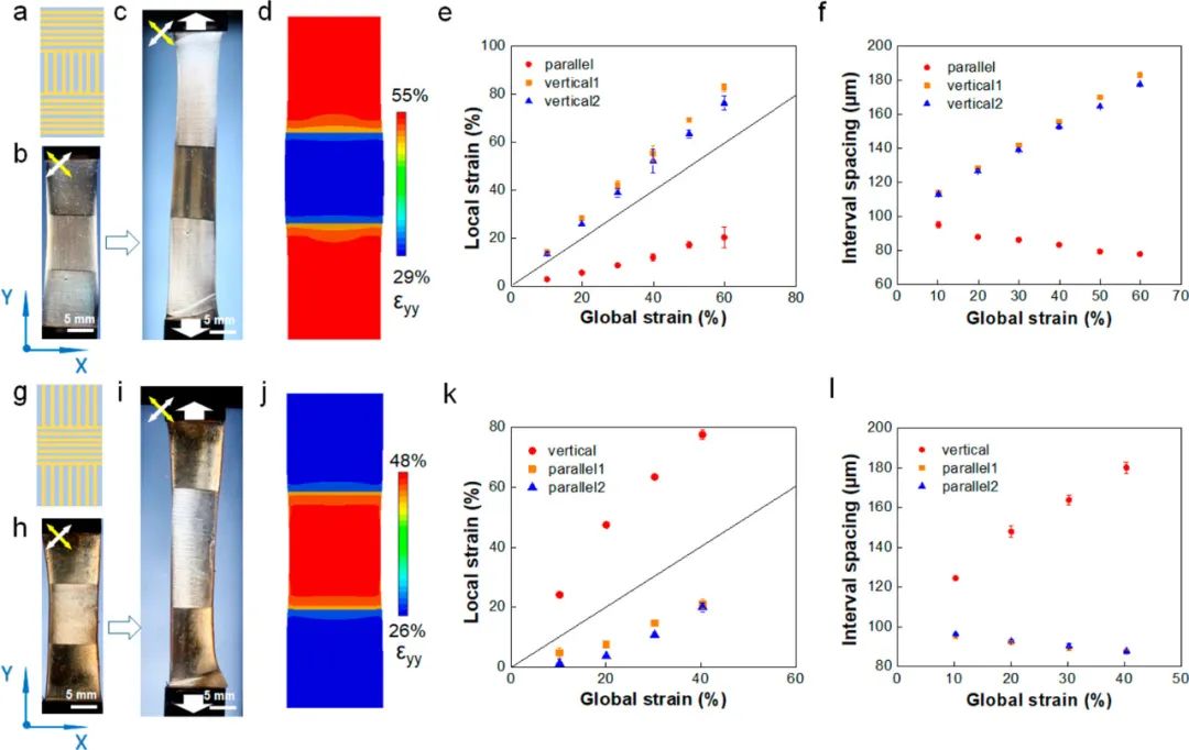 浙江大學高超、許震團隊《ACS Nano》:在剪切微印刷術(shù)研究方面再獲進展