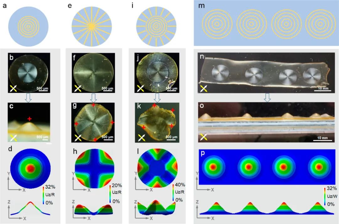 浙江大學高超、許震團隊《ACS Nano》:在剪切微印刷術(shù)研究方面再獲進展