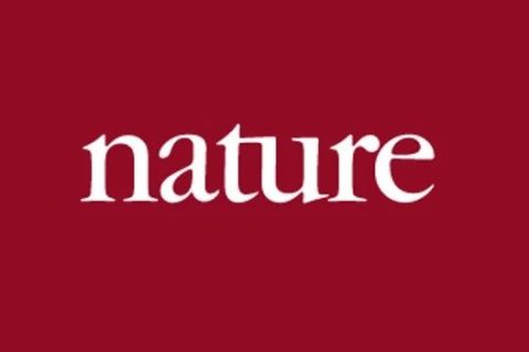 《Nature》：實現(xiàn)“不可能”！3D打印微型二氧化硅氣凝膠