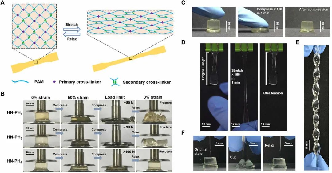 《Science》子刊：高強(qiáng)度、高韌性、可快速回復(fù)的水凝膠?