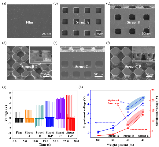 Nano Energy：基于面投影微立體光刻3D打印技術(shù)的共形壓電傳感器設(shè)計(jì)與制造