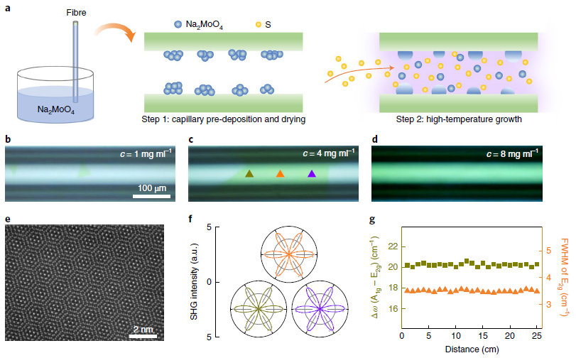 北京大學(xué)劉忠范院士/劉開輝教授等《自然·納米技術(shù)》：光纖內(nèi)二維材料的均勻生長實(shí)現(xiàn)超高非線性