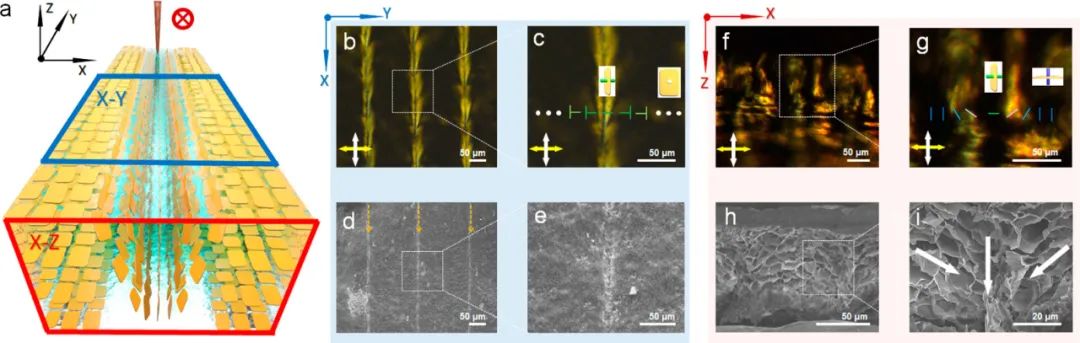 浙江大學高超、許震團隊《ACS Nano》:在剪切微印刷術(shù)研究方面再獲進展