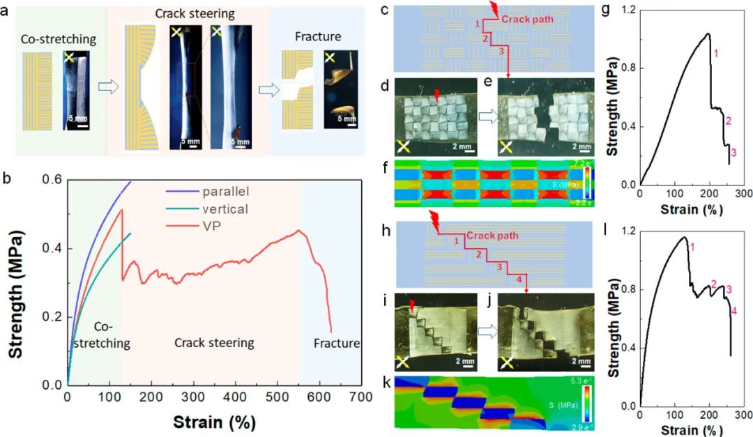 浙江大學高超、許震團隊《ACS Nano》:在剪切微印刷術(shù)研究方面再獲進展