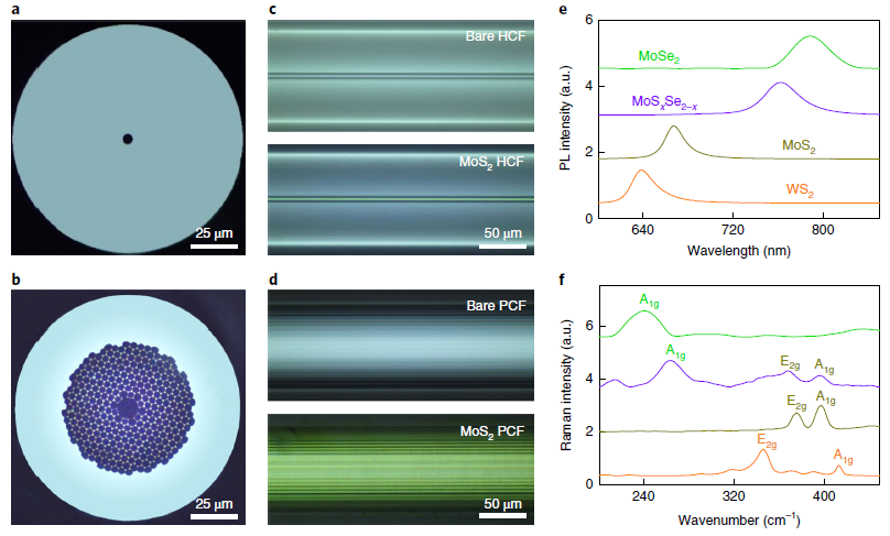 北京大學(xué)劉忠范院士/劉開輝教授等《自然·納米技術(shù)》：光纖內(nèi)二維材料的均勻生長實(shí)現(xiàn)超高非線性