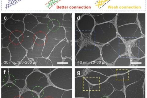 南洋理工李佩詩團隊《AFM》：噴涂組裝策略制備高性能銀納米線透明導(dǎo)電網(wǎng)絡(luò)