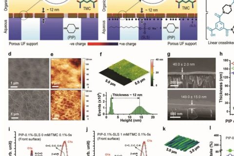 ?當(dāng)前最高的離子截留率99.99%！《AFM》：超選擇性和高滲透性聚酰胺納米膜！