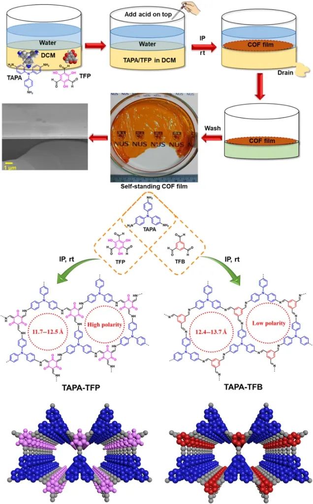 鐘臺生院士團隊《Science》子刊：雜質(zhì)無處遁形！高溶劑滲透率、柔性自支撐COF膜助力分子分離