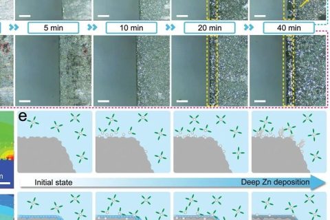 南航張校剛課題組《AFM》:鉛筆繪制的功能化石墨界面極大提升水系鋅離子電池的可逆和耐用性