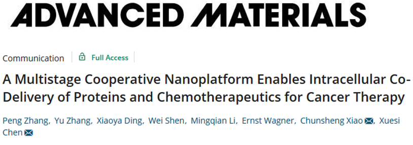 陳學(xué)思院士團(tuán)隊《AM》： 構(gòu)建多級合作的納米平臺用于蛋白質(zhì)/化療藥物的胞內(nèi)共遞送
