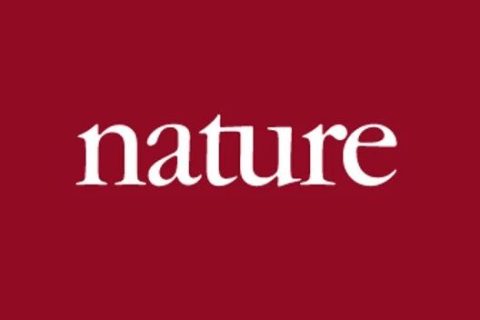 Ian manners院士《Nature Reviews Mater.》重磅綜述：π-共軛聚合物方案組裝功能性納米顆粒