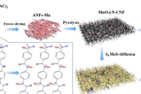 上海電力大學(xué)《JMCA》:如何簡(jiǎn)單有效地原位復(fù)合碳纖維和金屬納米顆粒？一種可用于超級(jí)電容器和鋰硫宿主的雙功能材料