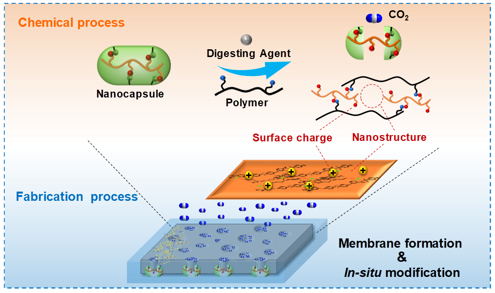 南京工業(yè)大學孫世鵬《Nano Letters》:“納米封裝”同步實現(xiàn)納濾膜的納米結(jié)構(gòu)構(gòu)筑和原位功能化