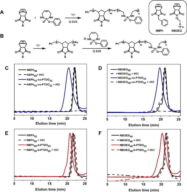 美國(guó)西北大學(xué)ACS Macro Lett封面：低溫開(kāi)環(huán)易位聚合制備主鏈可降解的聚磷酰胺