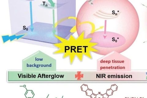 李振、李倩倩團隊《AM》：從室溫磷光到近紅外發(fā)光，實現高信噪比余輝成像