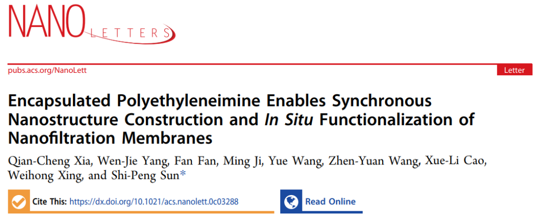 南京工業(yè)大學孫世鵬《Nano Letters》:“納米封裝”同步實現(xiàn)納濾膜的納米結(jié)構(gòu)構(gòu)筑和原位功能化