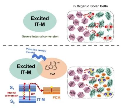 北京師范大學薄志山等《AM》：提高有機光伏電池性能的新途徑——延長激子壽命、增加激子擴散距離