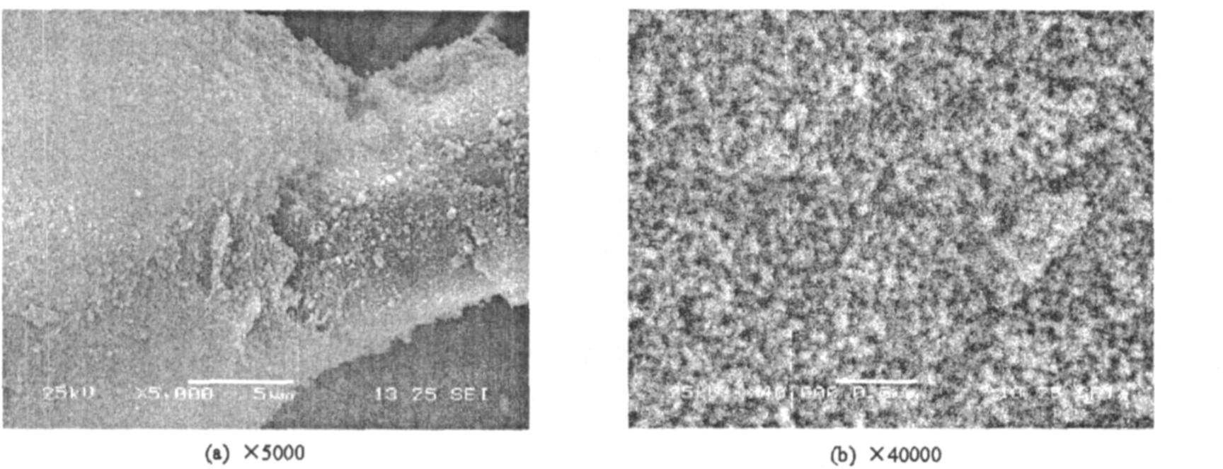 纖維增強SiO<sub>2</sub>氣凝膠隔熱復(fù)合材料的制備及其性能