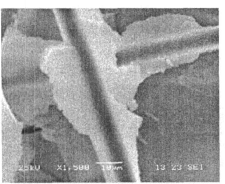 纖維增強SiO<sub>2</sub>氣凝膠隔熱復(fù)合材料的制備及其性能