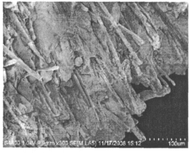 纖維增強SiO<sub>2</sub>氣凝膠隔熱復(fù)合材料的制備及其性能