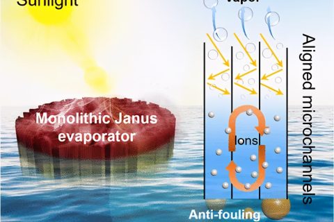 具有防污和減鹽特性的自給自足的Janus氣凝膠，用于穩(wěn)定日光蒸發(fā)