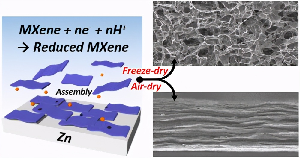 ACS Nano:界面電化學自組裝多維 Ti3C2Tx MXene 架構(gòu)及水-氣凝膠應用