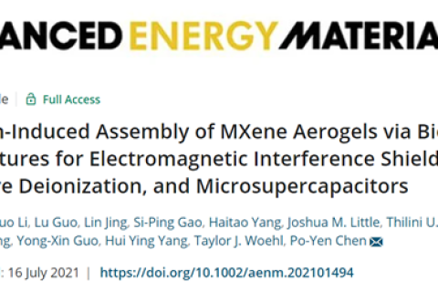 金屬離子誘導MXene氣凝膠，用于電磁干擾屏蔽和微型超級電容器