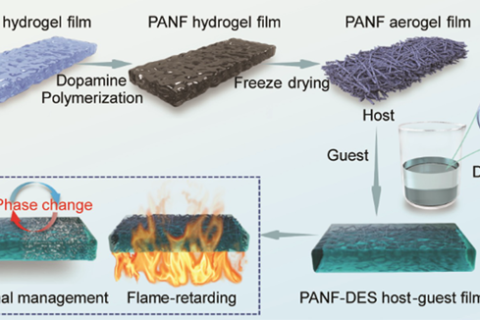 阻燃芳綸納米纖維氣凝膠-低共熔相變?nèi)軇┲骺腕w復合薄膜研究獲進展