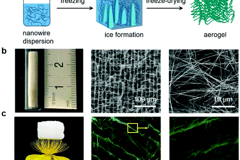 廈門大學程威綜述：宏觀納米線氣凝膠的制備與應(yīng)用