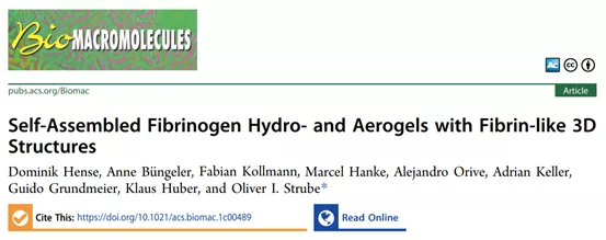 《Biomacromolecules》自組裝3D 纖維蛋白原水凝膠和氣凝膠-4