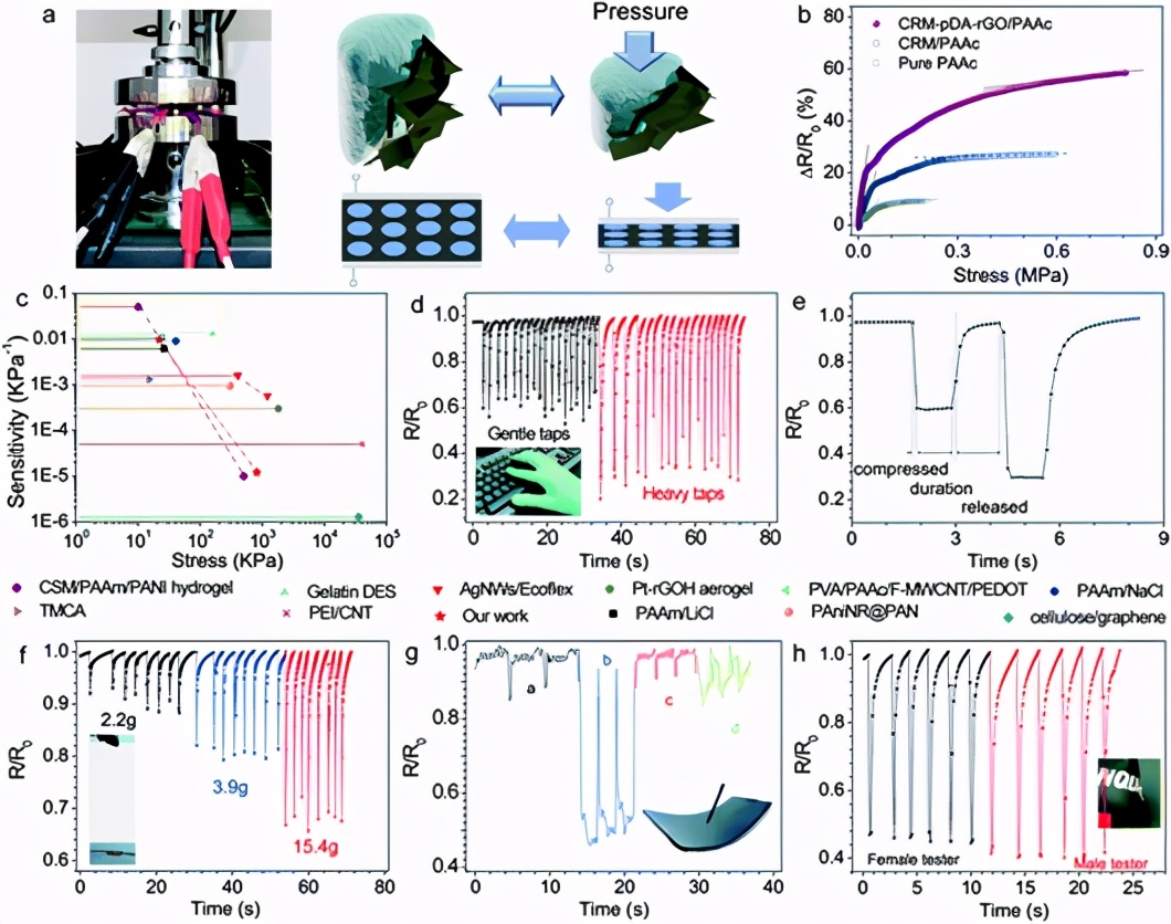 圖5 (a) 靈敏度測(cè)定的設(shè)置和示意圖，顯示了壓縮過(guò)程中導(dǎo)電路徑如何變化的原理。(b)所有木質(zhì)纖維素復(fù)合離子水凝膠傳感器的電阻變化率-應(yīng)力曲線。(c) CRM-pDA-rGO/PAAc 傳感器與其他報(bào)道的力傳感器相比的靈敏度和應(yīng)力范圍。在 (d 和 e) 輕敲和重敲 (Agel = 100 mm2)、(f) 珠滴落 (Agel = 100 mm2)、(g) 書(shū)寫(xiě) (Agel = 200 mm2) 期間使用木質(zhì)纖維素傳感器的實(shí)時(shí)電阻變化率信號(hào) (h) 沖壓 (Agel = 177 mm2) 監(jiān)測(cè)。