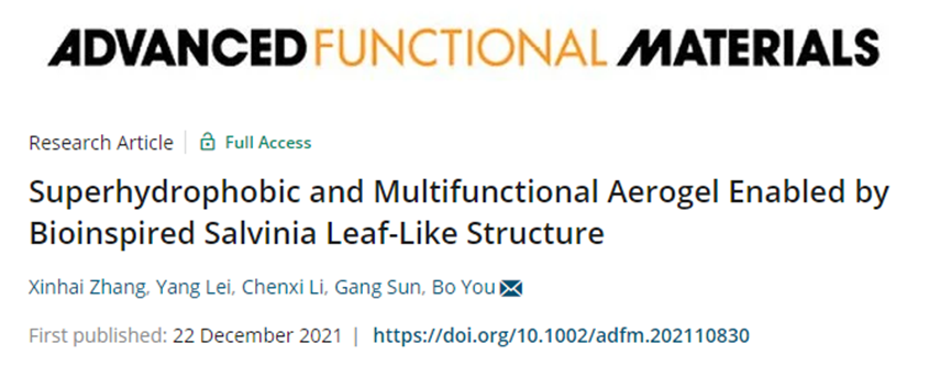 復(fù)旦大學(xué)游波教授《AFM》：仿生丹參葉狀結(jié)構(gòu)的超疏水多功能氣凝膠！