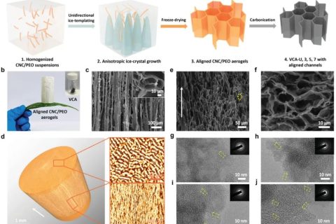 首次通過控制冰模板法冷卻速率實現(xiàn)高性能碳氣凝膠負極！