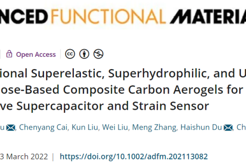 超彈、超輕、超親水的多功能CNF/CNT/RGO碳?xì)饽z！