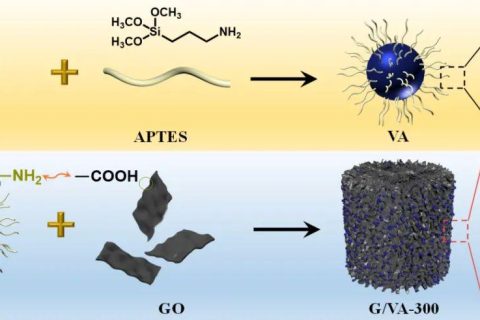 南開(kāi)大學(xué)黃毅教授《AFM》：智能開(kāi)關(guān)可切換吸波材料